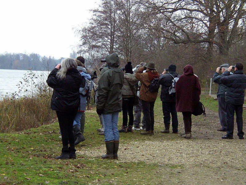 2009 01 Ornitho à Ecluzelles 08